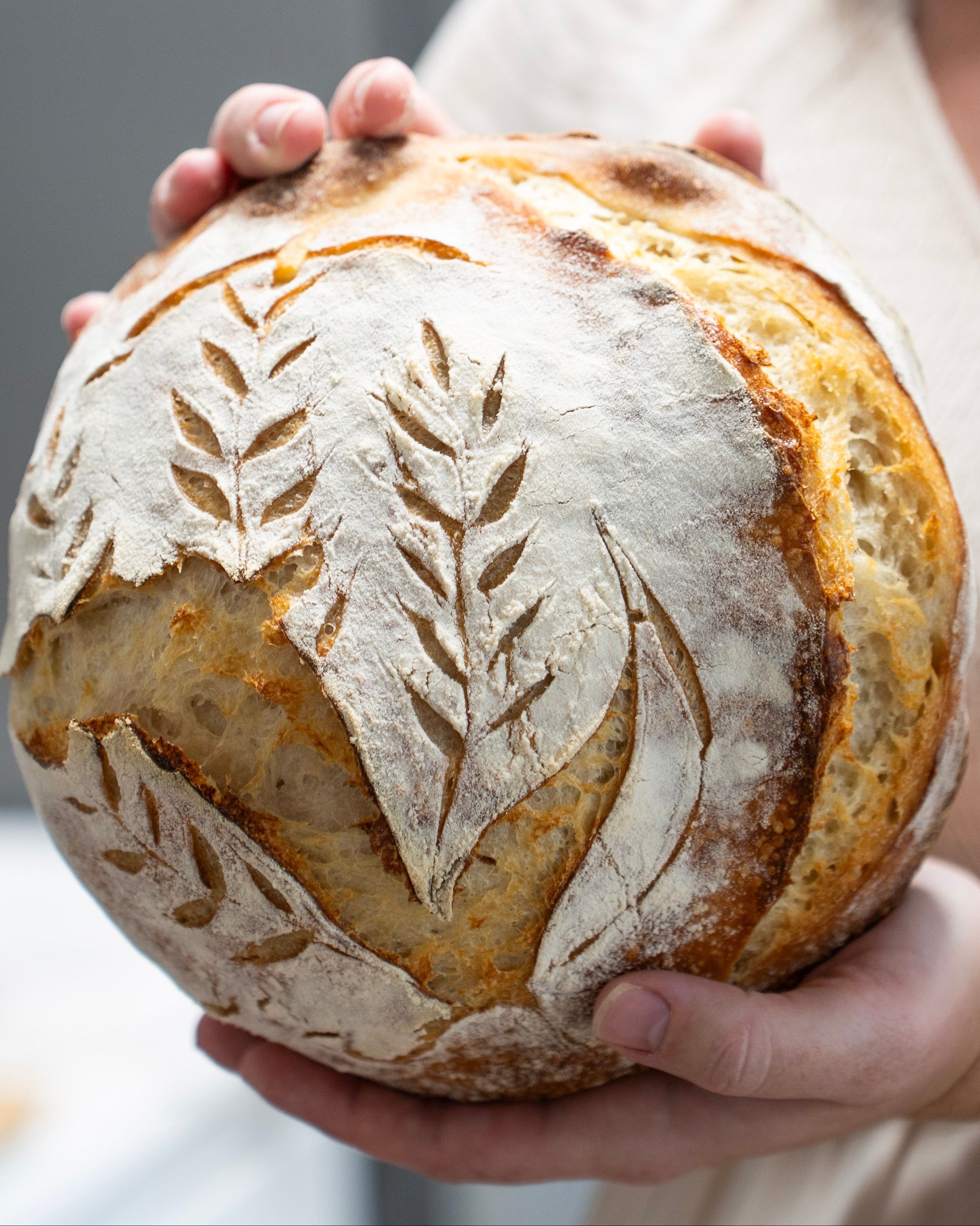 Rustic Sourdough Loaves
